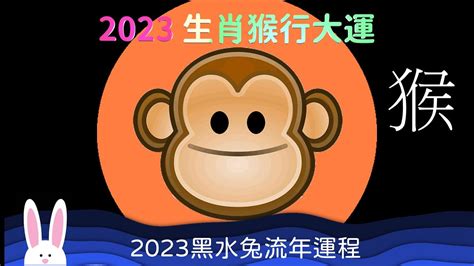 2023猴年運程1980顏色 金提莫 打麻將